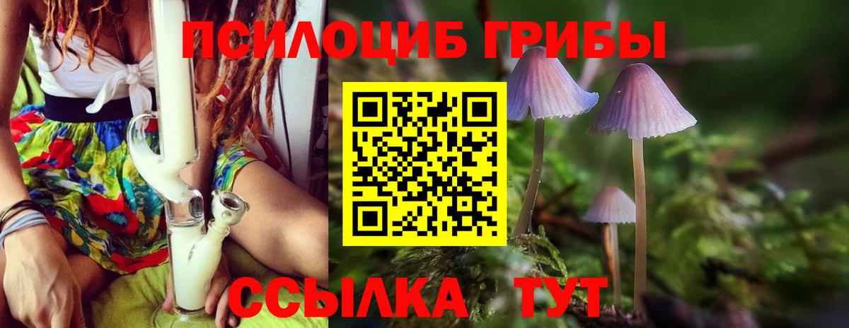 Псилоцибиновые грибы Magic Shrooms Иркутск